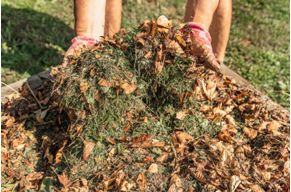 Your Options for Summer Yard Waste Removal