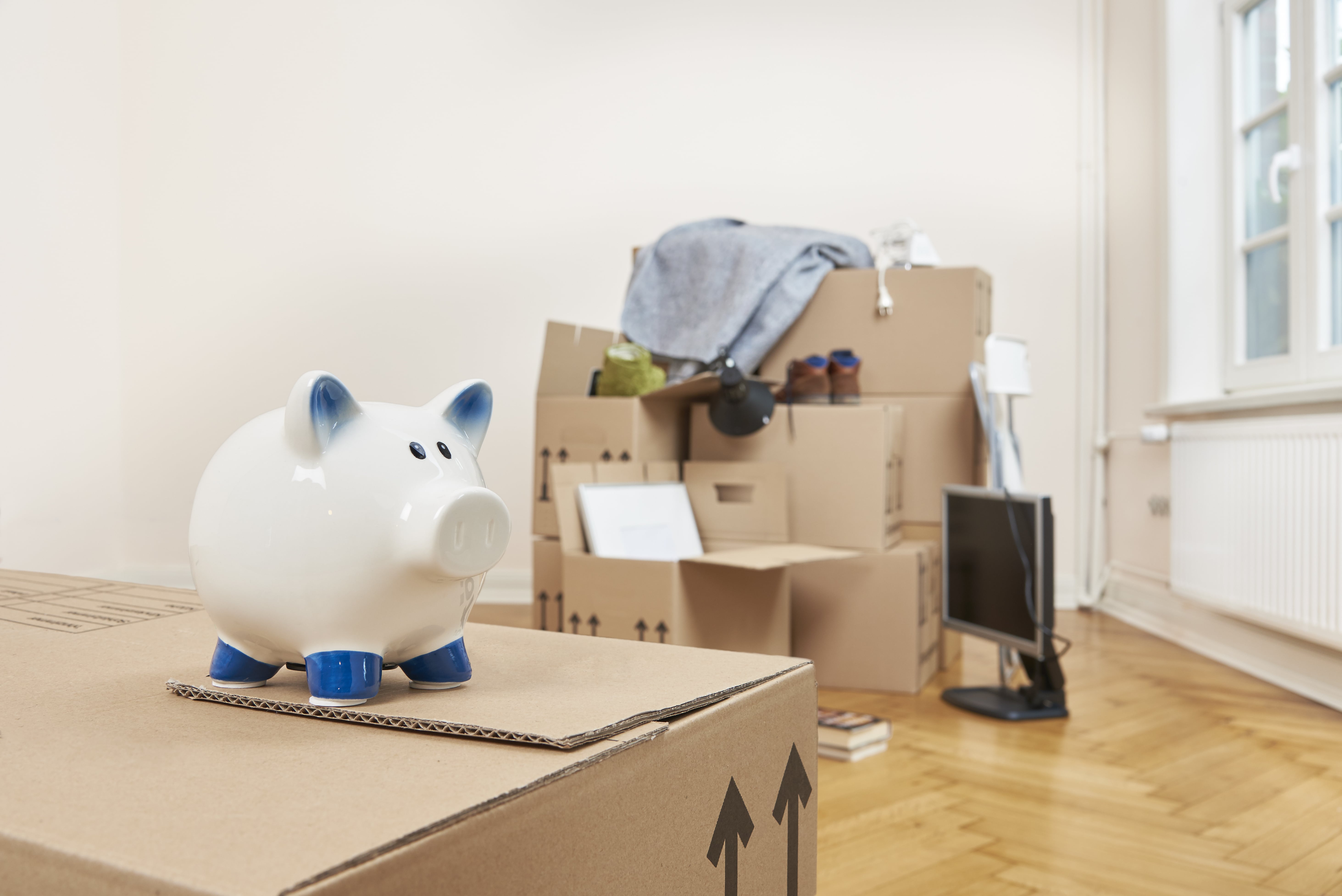 Home Downsizing Tips in Palm Harbor