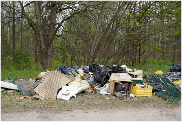 The Negative Effects of Illegal Dumping