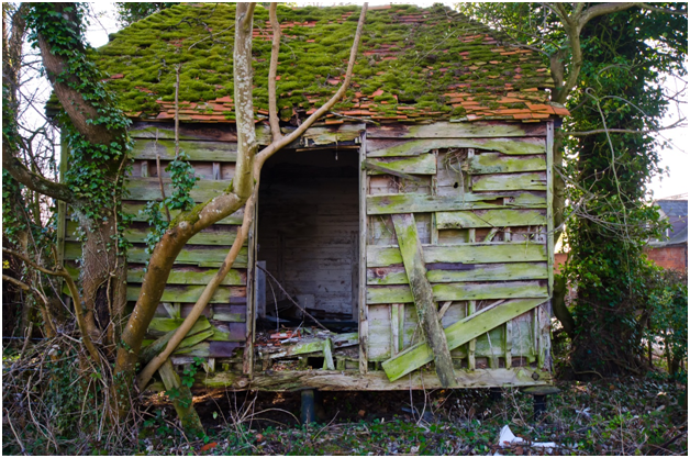 Remove Your Old Shed and Make More Space