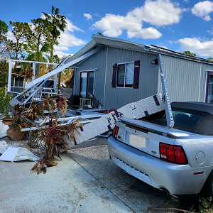 Venice Residential and Commercial Hurricane Clean Up