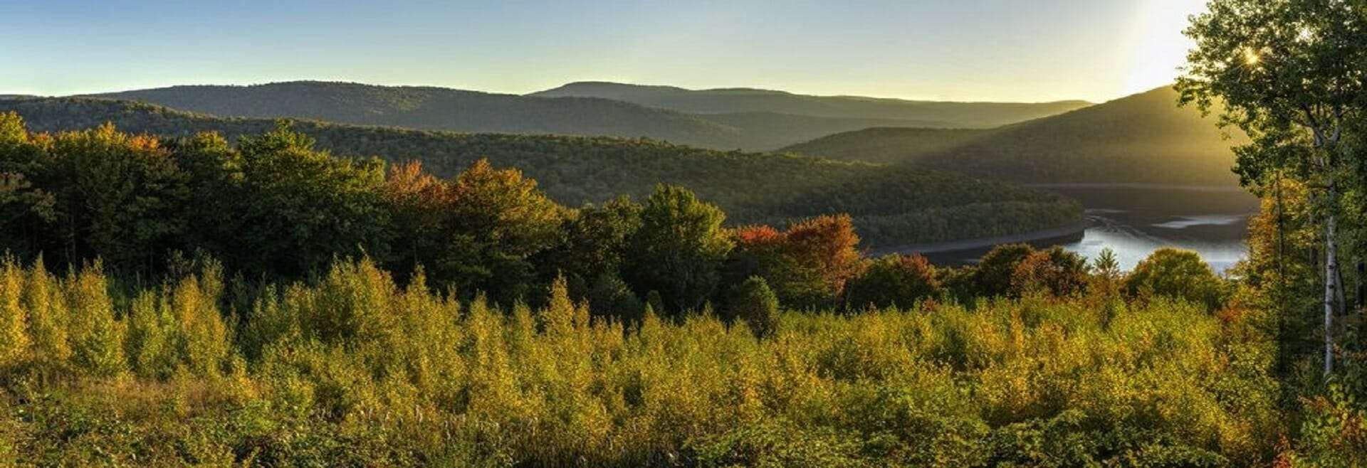 Kiryas Joel Junk Removal