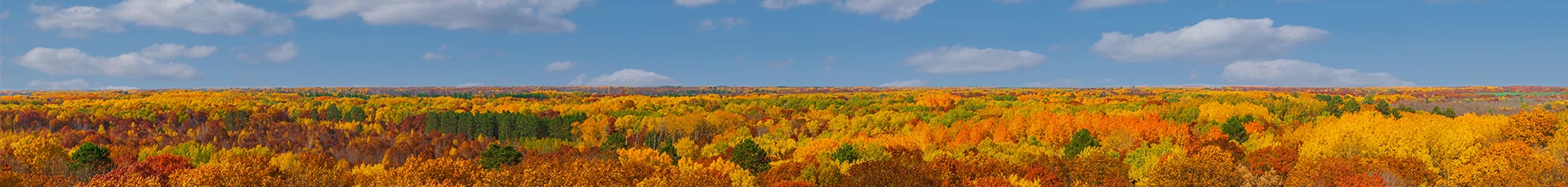 Junk Removal In Mary Minnesota