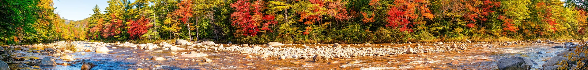 Junk Removal In Mountain Lakes New Hampshire