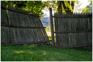 Old Fencing Removal