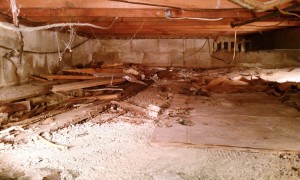 crawl space clean cleaning attic cleanout rat junk property