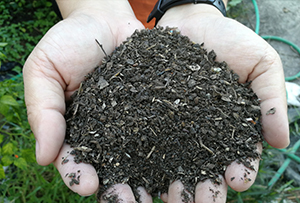 How to Hot Compost Yard Debris