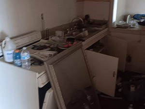 property clean out service hiring reasons