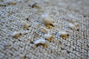 Carpet Replacement in Sarasota